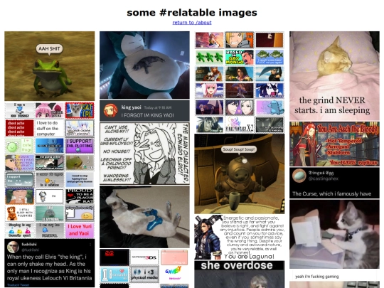 gpoy screenshot