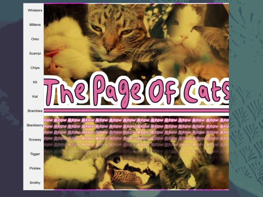 cat screenshot