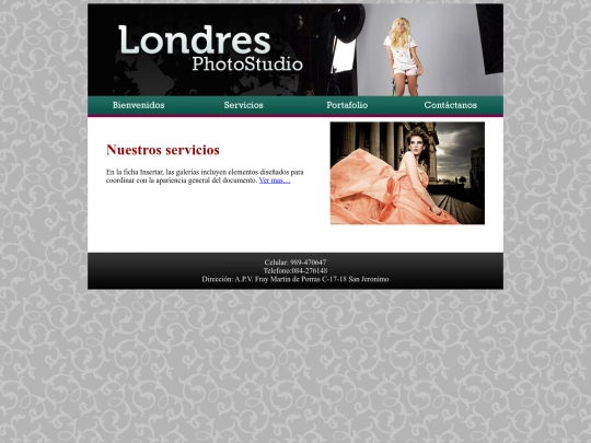 servicios screenshot