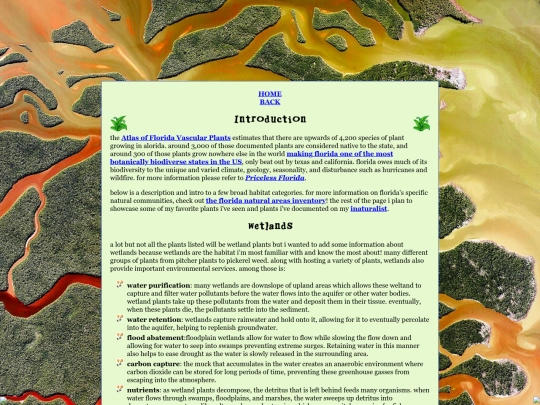 funstuff/flnp screenshot