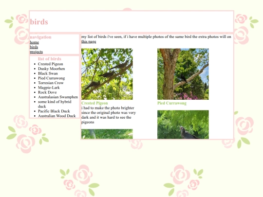 birds screenshot