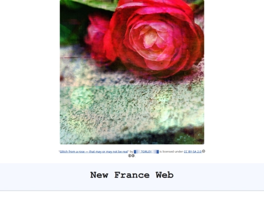 nfr-web screenshot