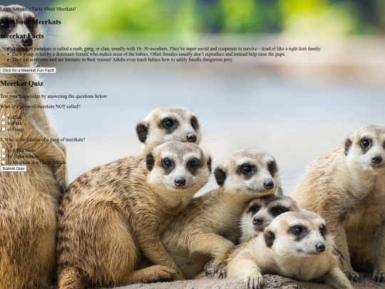 JavaScript/FinalProject screenshot