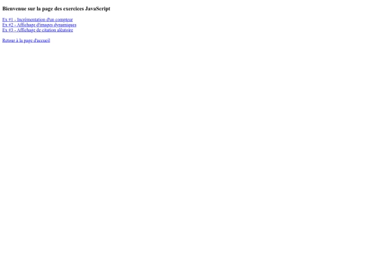 ex_js screenshot