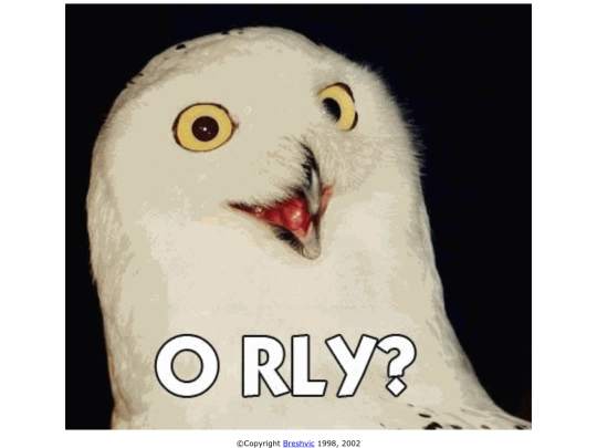 ORLY screenshot