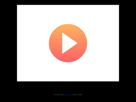 flash/windows screenshot