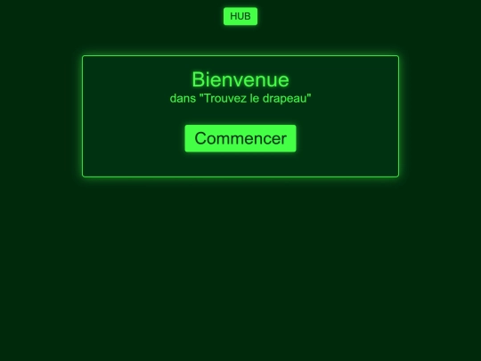 flag screenshot