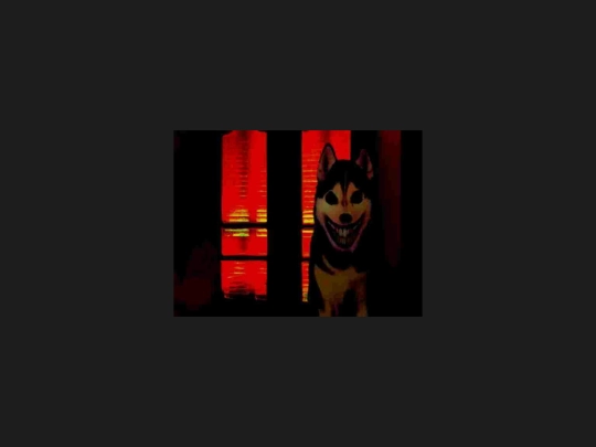 imgviewer screenshot