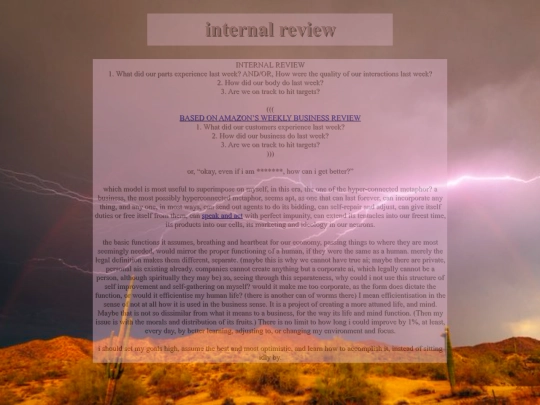 internalreview screenshot
