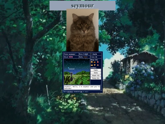 seymour screenshot