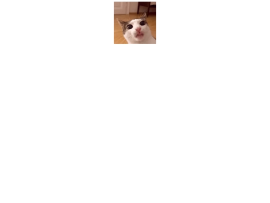 subPages/About screenshot