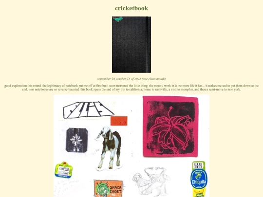 cricket screenshot