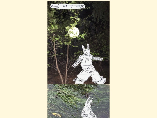 why screenshot