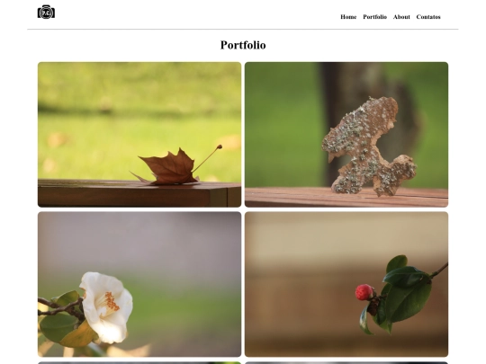 portfolio screenshot