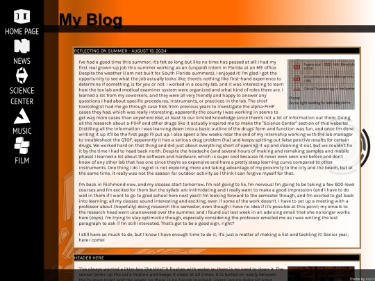 blog screenshot