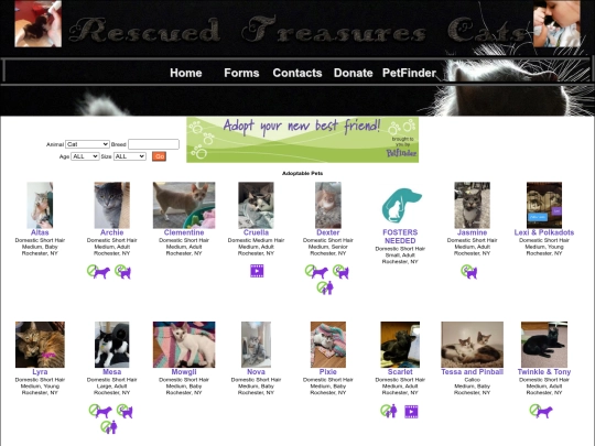 petfinder screenshot