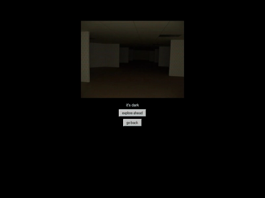 programs/the-backrooms/level0000-threshold/The-Darkrooms/0000 screenshot