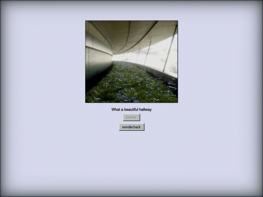 programs/the-backrooms/level0106-the-Grassrooms-EDEN/0002 screenshot