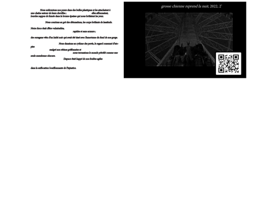 grosse_chienne screenshot