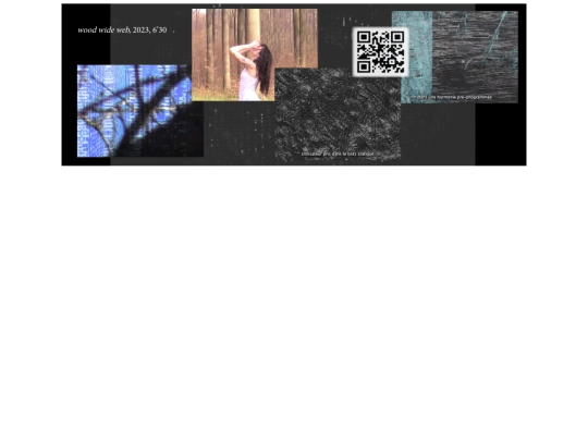 wood_wide_web screenshot