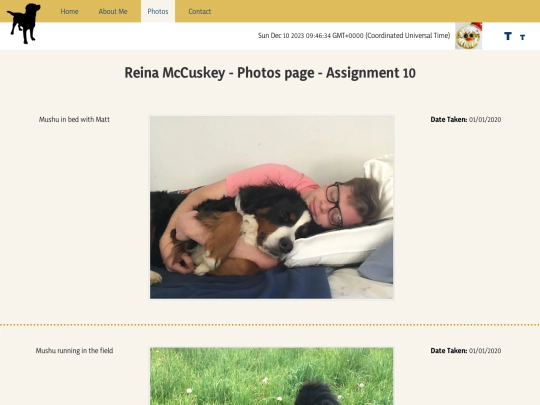 Assignment10/photos screenshot