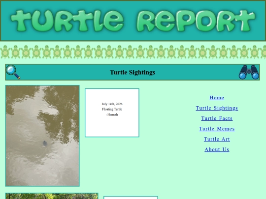 turtlesightings screenshot