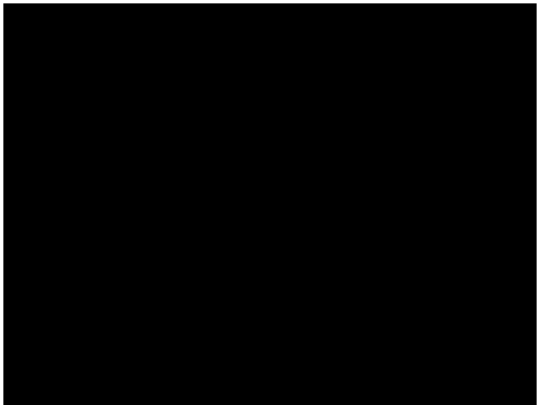 fps screenshot