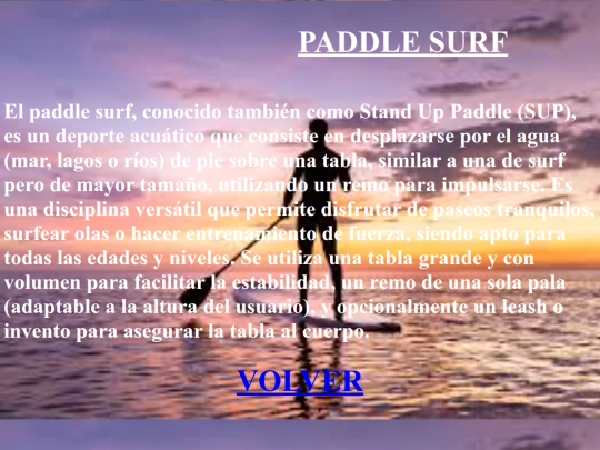 Paddlesurf screenshot