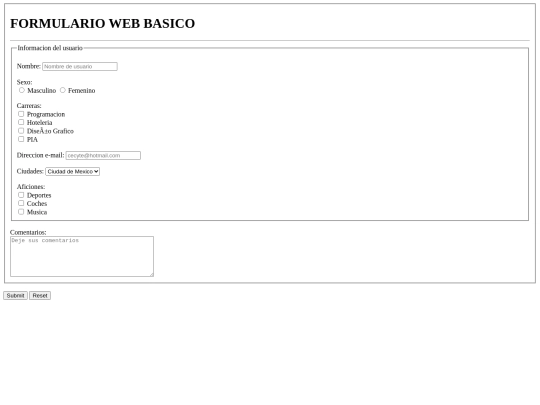 formulario screenshot