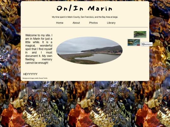 marin screenshot
