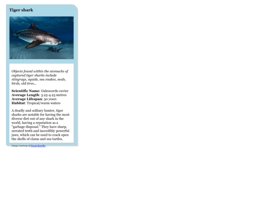 card screenshot
