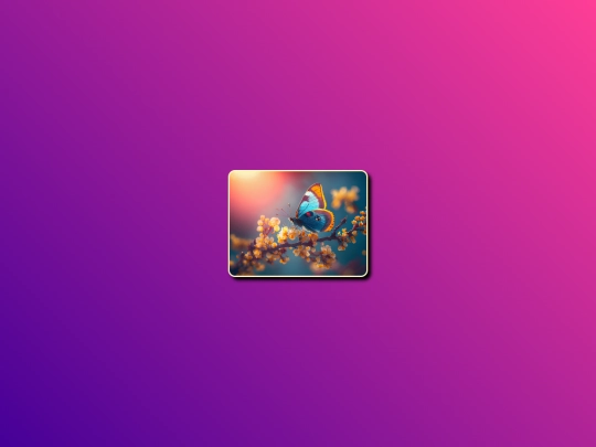 FrontEndChunks/CardHoverEffects/ContentReveal screenshot