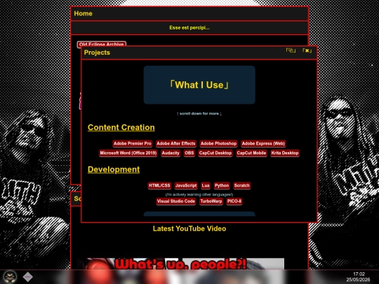 projects screenshot