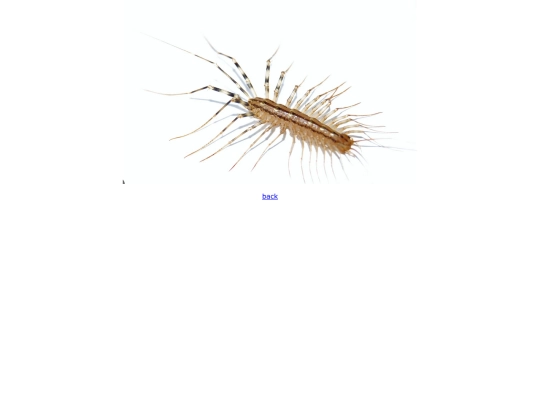 pages/coolbug screenshot