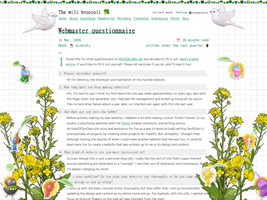 webmaster-questionnaire screenshot