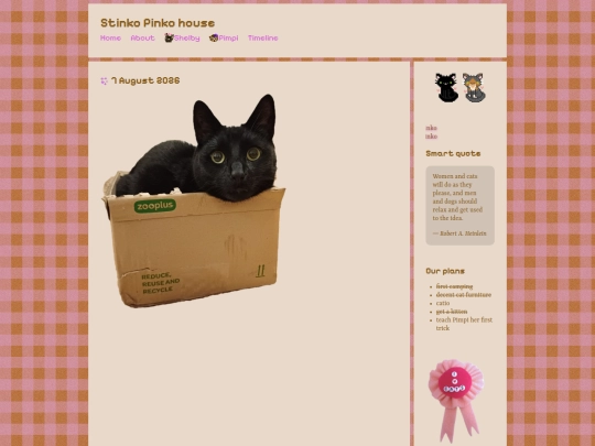 diary screenshot