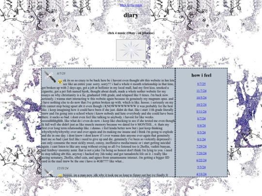 diary screenshot