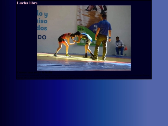 LUCHA screenshot