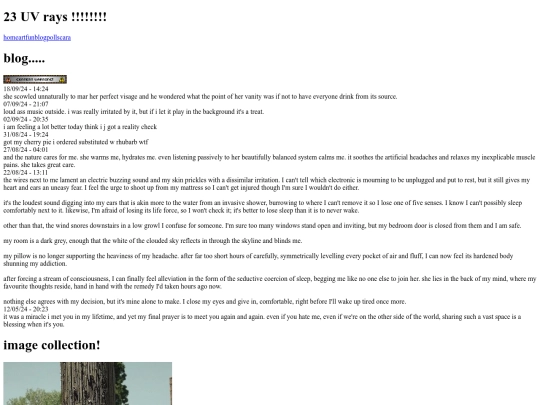 blog screenshot