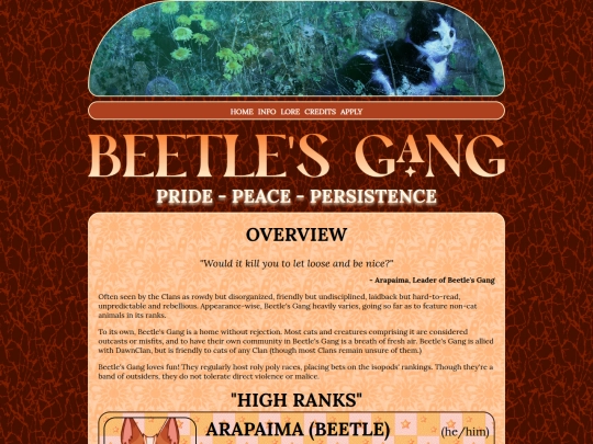 beetle screenshot