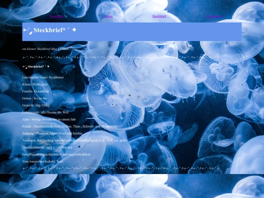 steckbrief screenshot