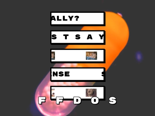 FFDOSwebapp screenshot