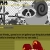 hamesapost.yorniq.xyz avatar