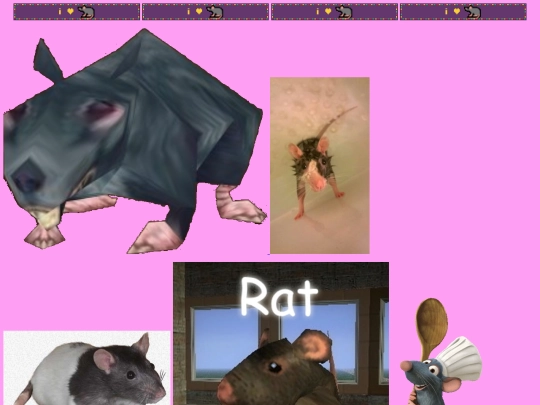 rat collection screenshot