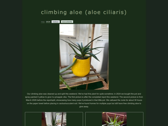 aloesplice screenshot