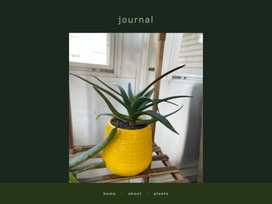 journal screenshot