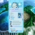 frocio.yorniq.xyz avatar