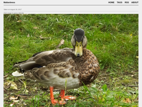 posts/2017-08-30-0325 screenshot