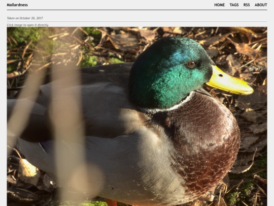 posts/2017-10-20-1095 screenshot