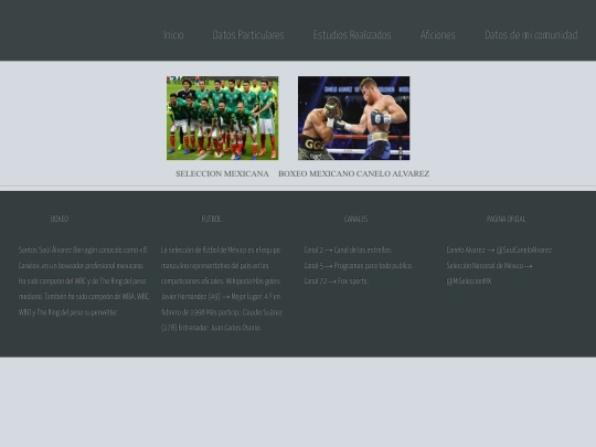 Actividad 2.4/Aficiones screenshot